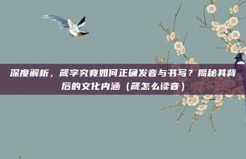 深度解析，箴字究竟如何正确发音与书写？揭秘其背后的文化内涵（箴怎么读音）