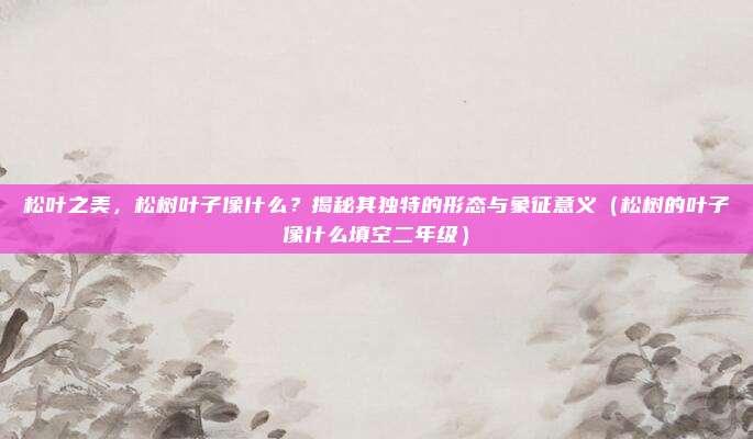 松叶之美，松树叶子像什么？揭秘其独特的形态与象征意义（松树的叶子像什么填空二年级）