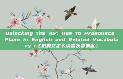 Unlocking the Air: How to Pronounce Plane in English and Related Vocabulary（飞机英文怎么读音发音的呢）