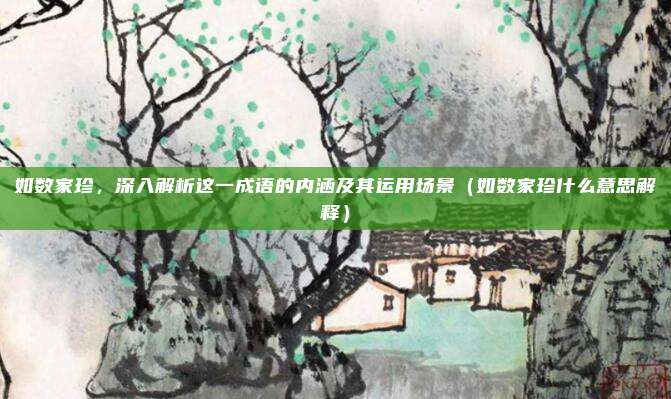 如数家珍，深入解析这一成语的内涵及其运用场景（如数家珍什么意思解释）