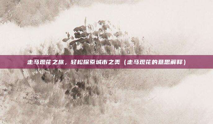 走马观花之旅，轻松探索城市之美（走马观花的意思解释）
