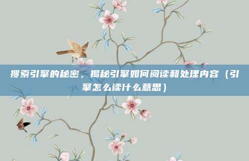 搜索引擎的秘密，揭秘引擎如何阅读和处理内容（引擎怎么读什么意思）