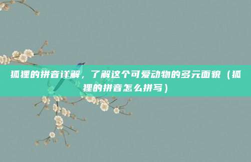 狐狸的拼音详解，了解这个可爱动物的多元面貌（狐狸的拼音怎么拼写）