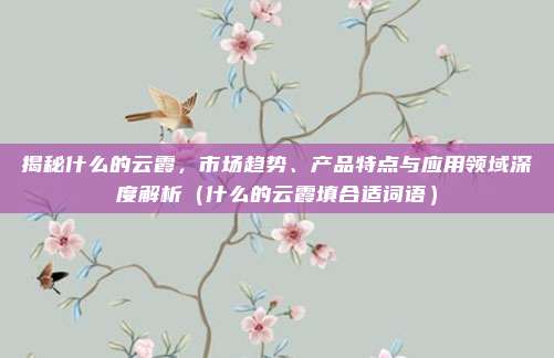 揭秘什么的云霞，市场趋势、产品特点与应用领域深度解析（什么的云霞填合适词语）