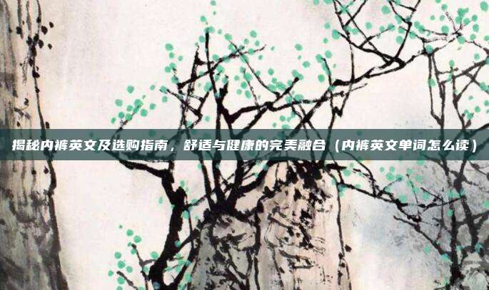 揭秘内裤英文及选购指南，舒适与健康的完美融合（内裤英文单词怎么读）
