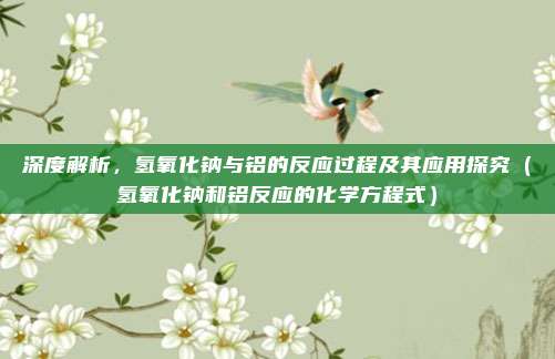 深度解析,氢氧化钠与铝的反应过程及其应用探究(氢氧化钠和铝反应的化学方程式)