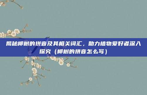 揭秘柳树的拼音及其相关词汇，助力植物爱好者深入探究（柳树的拼音怎么写）
