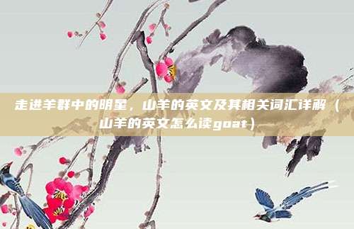 走进羊群中的明星，山羊的英文及其相关词汇详解（山羊的英文怎么读goat）
