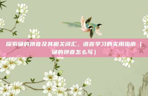 探索确的拼音及其相关词汇，语言学习的实用指南（确的拼音怎么写）
