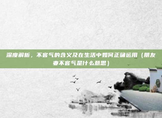 深度解析，不客气的含义及在生活中如何正确运用（朋友妻不客气是什么意思）