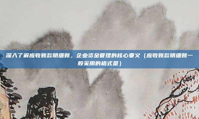 深入了解应收账款明细账，企业资金管理的核心要义（应收账款明细账一般采用的格式是）