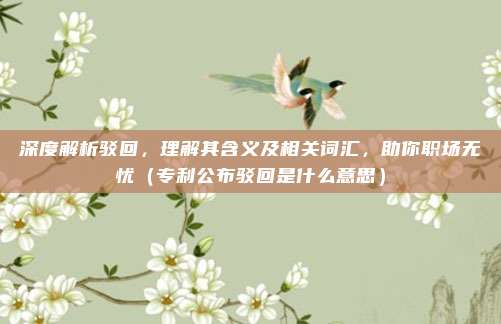 深度解析驳回，理解其含义及相关词汇，助你职场无忧（专利公布驳回是什么意思）