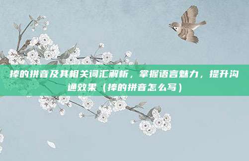 捧的拼音及其相关词汇解析，掌握语言魅力，提升沟通效果（捧的拼音怎么写）