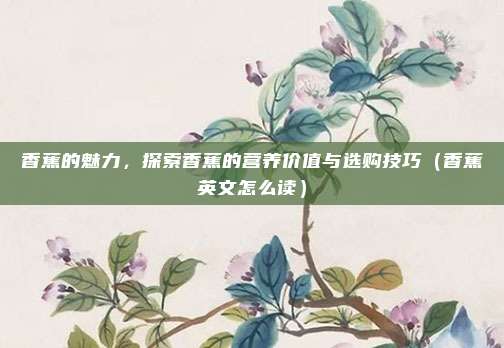 香蕉的魅力，探索香蕉的营养价值与选购技巧（香蕉英文怎么读）