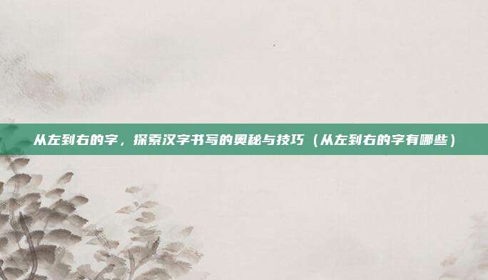 从左到右的字，探索汉字书写的奥秘与技巧（从左到右的字有哪些）