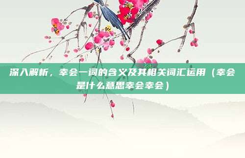 深入解析，幸会一词的含义及其相关词汇运用（幸会是什么意思幸会幸会）