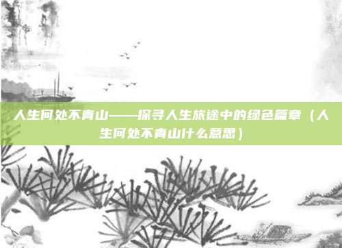 人生何处不青山——探寻人生旅途中的绿色篇章（人生何处不青山什么意思）