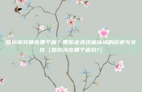 哈尔滨究竟在哪个省？带你走进这座冰城的历史与文化（哈尔滨在哪个省份?）