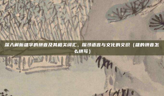 深入解析雄字的拼音及其相关词汇，探寻语言与文化的交织（雄的拼音怎么拼写）