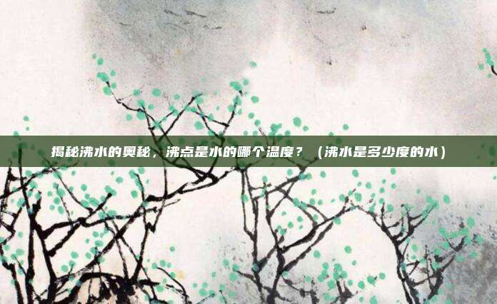 揭秘沸水的奥秘，沸点是水的哪个温度？（沸水是多少度的水）