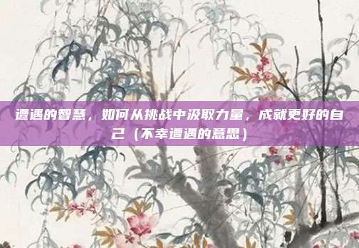 遭遇的智慧，如何从挑战中汲取力量，成就更好的自己（不幸遭遇的意思）