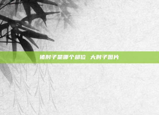猪肘子是哪个部位 大肘子图片