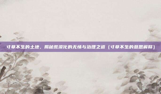 寸草不生的土地，揭秘荒漠化的无情与治理之道（寸草不生的意思解释）