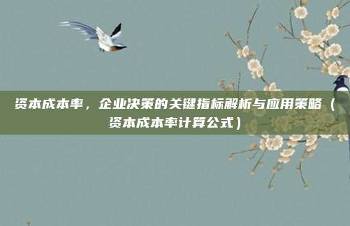 资本成本率，企业决策的关键指标解析与应用策略（资本成本率计算公式）