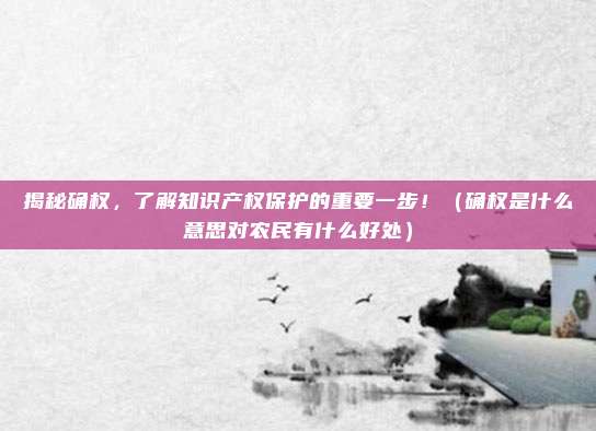 揭秘确权，了解知识产权保护的重要一步！（确权是什么意思对农民有什么好处）