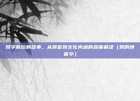 臭字背后的故事，从拼音到文化内涵的深度解读（臭的拼音字）