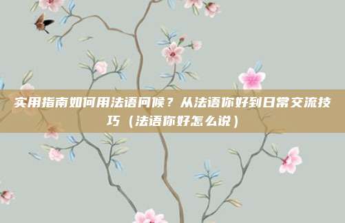 实用指南如何用法语问候?从法语你好到日常交流技巧(法语你好怎么说)