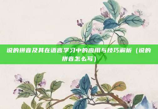 说的拼音及其在语言学习中的应用与技巧解析(说的拼音怎么写)
