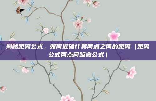 揭秘距离公式,如何准确计算两点之间的距离(距离公式两点间距离公式)