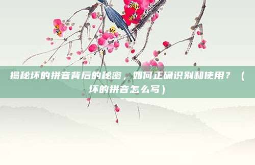 揭秘坏的拼音背后的秘密，如何正确识别和使用？（坏的拼音怎么写）
