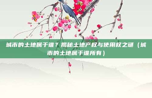 城市的土地属于谁？揭秘土地产权与使用权之谜（城市的土地属于谁所有）