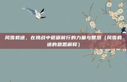 风雪载途，在挑战中砥砺前行的力量与智慧（风雪载途的意思解释）