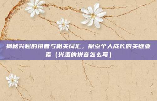 揭秘兴趣的拼音与相关词汇，探索个人成长的关键要素（兴趣的拼音怎么写）
