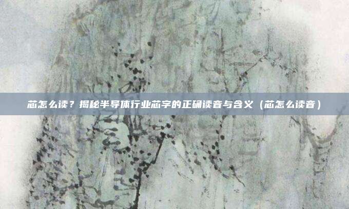 芯怎么读？揭秘半导体行业芯字的正确读音与含义（芯怎么读音）