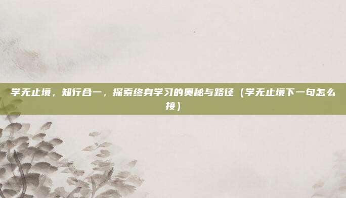 学无止境，知行合一，探索终身学习的奥秘与路径（学无止境下一句怎么接）