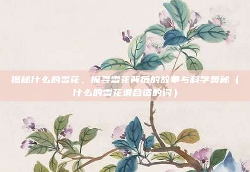 揭秘什么的雪花，探寻雪花背后的故事与科学奥秘（什么的雪花填合适的词）