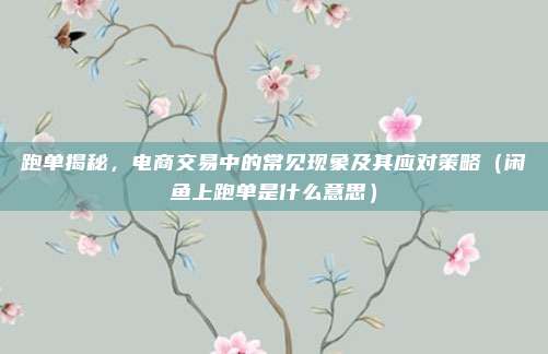 跑单揭秘，电商交易中的常见现象及其应对策略（闲鱼上跑单是什么意思）