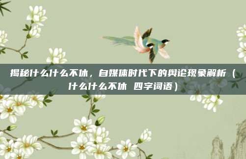 揭秘什么什么不休,自媒体时代下的舆论现象解析(什么什么不休 四字词语)