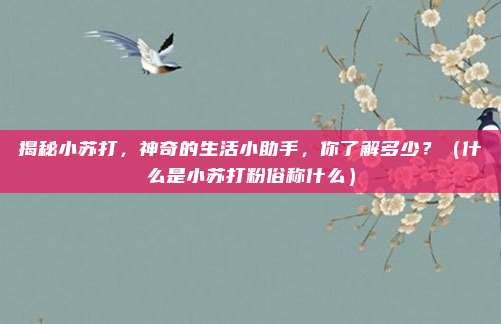 揭秘小苏打，神奇的生活小助手，你了解多少？（什么是小苏打粉俗称什么）