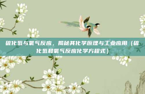 硫化氢与氧气反应，揭秘其化学原理与工业应用（硫化氢和氧气反应化学方程式）