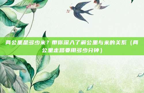两公里是多少米？带你深入了解公里与米的关系（两公里走路要用多少分钟）