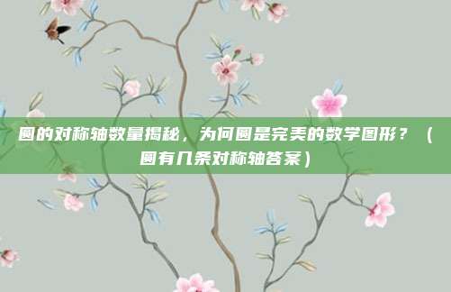 圆的对称轴数量揭秘，为何圆是完美的数学图形？（圆有几条对称轴答案）