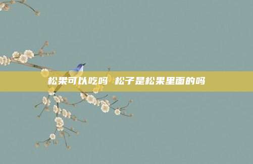 松果可以吃吗 松子是松果里面的吗