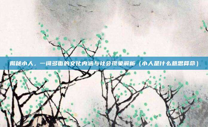 揭秘小人，一词多面的文化内涵与社会现象解析（小人是什么意思算命）