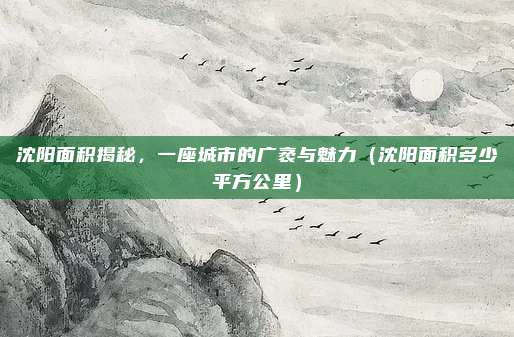 沈阳面积揭秘，一座城市的广袤与魅力（沈阳面积多少平方公里）