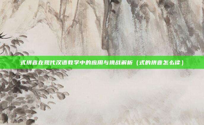 式拼音在现代汉语教学中的应用与挑战解析（式的拼音怎么读）